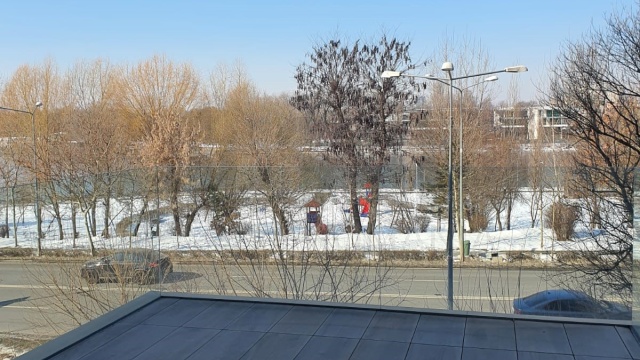 REA1011270