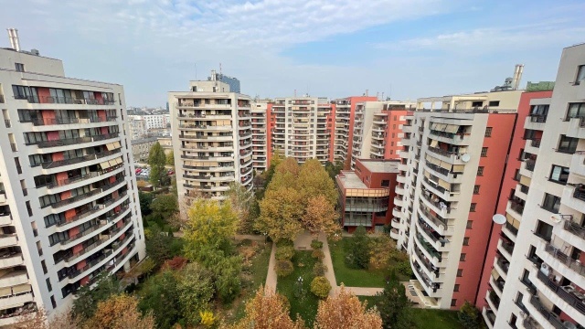 REA1013121
