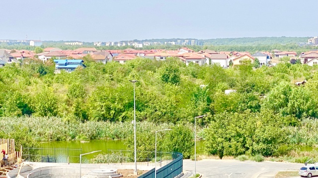 REA1021529