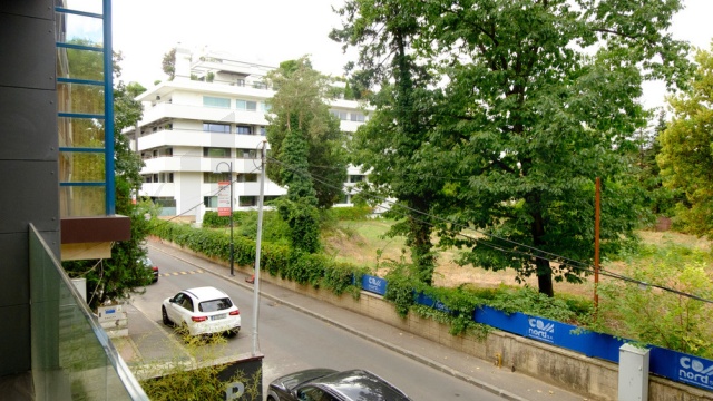 REA1026029
