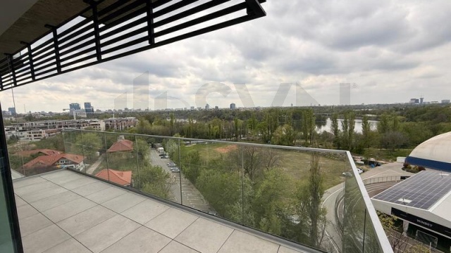 REA1028635