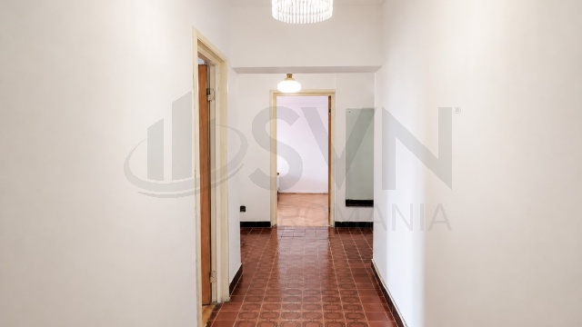 REA1029282