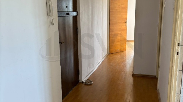 REA1029291