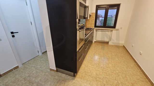 REA1029396