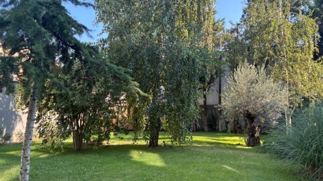 REA1029513