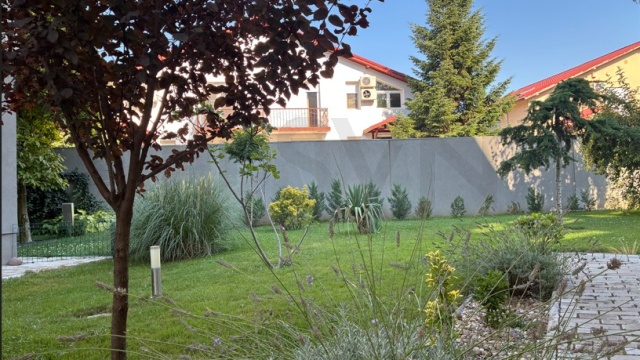 REA1029513