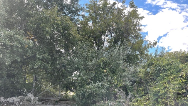 REL4000490