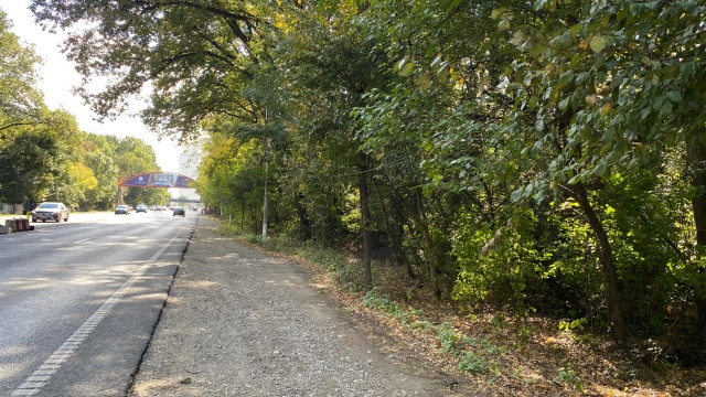 REL4000506