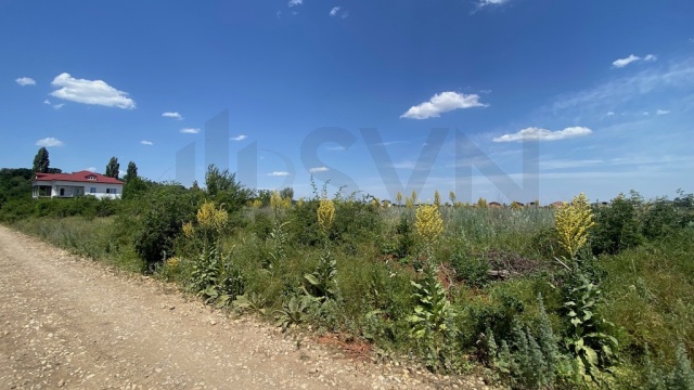 REL4000976