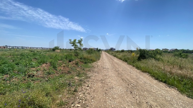 REL4000976