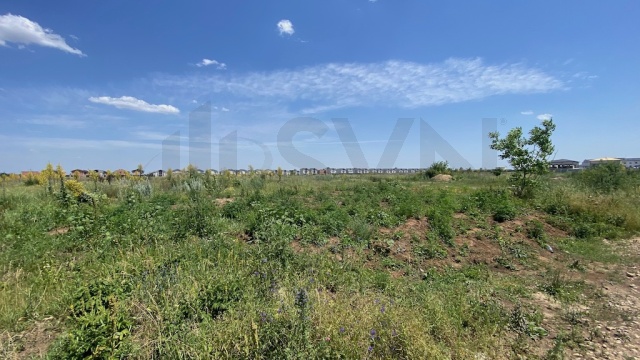 REL4000976