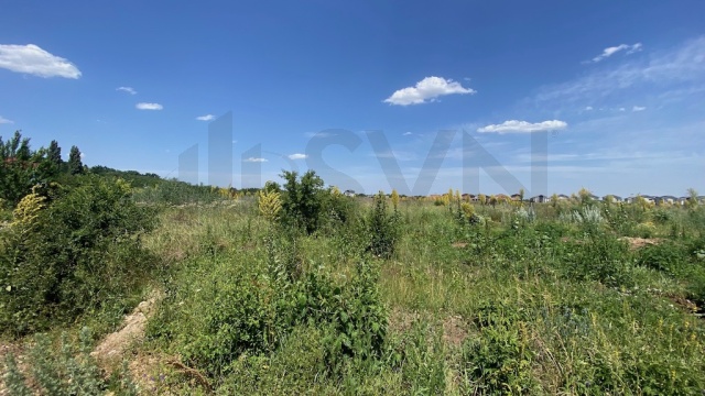 REL4000976