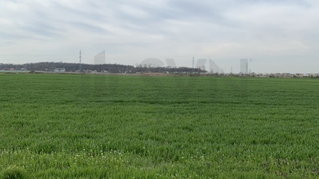 REL4001048