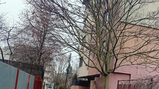 REL4001266