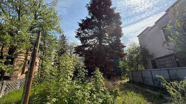 REL4001296