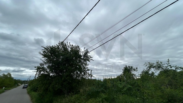 REL4001302