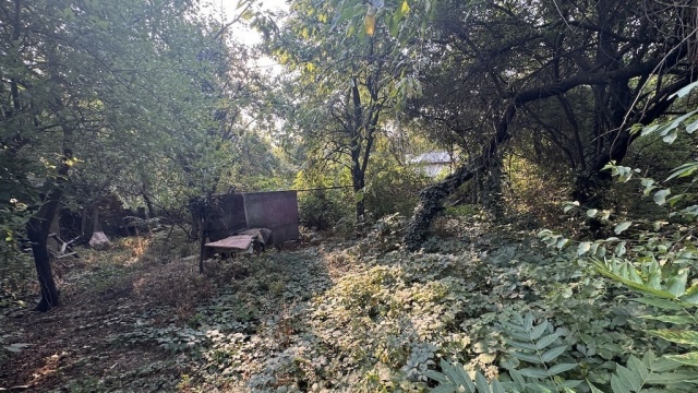 REL4001326